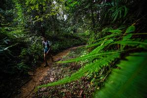 BIB: 
                            <button type="button" onclick="openModal(26526202)" class="btn btn-primary btn-sm float-right btn-popup" data-toggle="modal" data-target=".modal-high-quality">
                        <i class="fas fa-shopping-cart"></i> Add to Cart
                    </button>
                                            <button type="button" onclick="isThisMe(26526202, true)" class="btn btn-success btn-sm float-right btn-popup btn-isme hidden" data-toggle="tooltip" data-placement="bottom" title="นี่คือรูปของคุณใช่ไหม คลิกที่นี่เพื่อเอาเข้าอัลบั้ม">
                        <i class="fas fa-plus"></i> Add to album
                    </button>
                    <button type="button" onclick="isThisMe(26526202, false)" class="btn btn-warning btn-sm float-right btn-popup btn-isnotme hidden">
                        <i class="fas fa-ban"></i> Remove from album
                    </button>