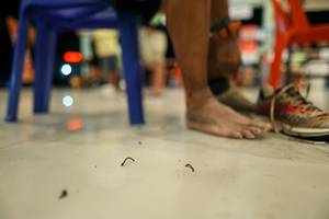 BIB: 
                            <button type="button" onclick="openModal(26526015)" class="btn btn-primary btn-sm float-right btn-popup" data-toggle="modal" data-target=".modal-high-quality">
                        <i class="fas fa-shopping-cart"></i> Add to Cart
                    </button>
                                            <button type="button" onclick="isThisMe(26526015, true)" class="btn btn-success btn-sm float-right btn-popup btn-isme hidden" data-toggle="tooltip" data-placement="bottom" title="นี่คือรูปของคุณใช่ไหม คลิกที่นี่เพื่อเอาเข้าอัลบั้ม">
                        <i class="fas fa-plus"></i> Add to album
                    </button>
                    <button type="button" onclick="isThisMe(26526015, false)" class="btn btn-warning btn-sm float-right btn-popup btn-isnotme hidden">
                        <i class="fas fa-ban"></i> Remove from album
                    </button>