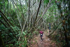 BIB: 
                            <button type="button" onclick="openModal(26526264)" class="btn btn-primary btn-sm float-right btn-popup" data-toggle="modal" data-target=".modal-high-quality">
                        <i class="fas fa-shopping-cart"></i> Add to Cart
                    </button>
                                            <button type="button" onclick="isThisMe(26526264, true)" class="btn btn-success btn-sm float-right btn-popup btn-isme hidden" data-toggle="tooltip" data-placement="bottom" title="นี่คือรูปของคุณใช่ไหม คลิกที่นี่เพื่อเอาเข้าอัลบั้ม">
                        <i class="fas fa-plus"></i> Add to album
                    </button>
                    <button type="button" onclick="isThisMe(26526264, false)" class="btn btn-warning btn-sm float-right btn-popup btn-isnotme hidden">
                        <i class="fas fa-ban"></i> Remove from album
                    </button>