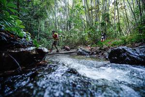 BIB: 
                            <button type="button" onclick="openModal(26526249)" class="btn btn-primary btn-sm float-right btn-popup" data-toggle="modal" data-target=".modal-high-quality">
                        <i class="fas fa-shopping-cart"></i> Add to Cart
                    </button>
                                            <button type="button" onclick="isThisMe(26526249, true)" class="btn btn-success btn-sm float-right btn-popup btn-isme hidden" data-toggle="tooltip" data-placement="bottom" title="นี่คือรูปของคุณใช่ไหม คลิกที่นี่เพื่อเอาเข้าอัลบั้ม">
                        <i class="fas fa-plus"></i> Add to album
                    </button>
                    <button type="button" onclick="isThisMe(26526249, false)" class="btn btn-warning btn-sm float-right btn-popup btn-isnotme hidden">
                        <i class="fas fa-ban"></i> Remove from album
                    </button>