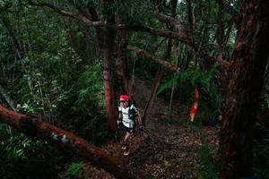 BIB: 
                            <button type="button" onclick="openModal(26196983)" class="btn btn-primary btn-sm float-right btn-popup" data-toggle="modal" data-target=".modal-high-quality">
                        <i class="fas fa-shopping-cart"></i> Add to Cart
                    </button>
                                            <button type="button" onclick="isThisMe(26196983, true)" class="btn btn-success btn-sm float-right btn-popup btn-isme hidden" data-toggle="tooltip" data-placement="bottom" title="นี่คือรูปของคุณใช่ไหม คลิกที่นี่เพื่อเอาเข้าอัลบั้ม">
                        <i class="fas fa-plus"></i> Add to album
                    </button>
                    <button type="button" onclick="isThisMe(26196983, false)" class="btn btn-warning btn-sm float-right btn-popup btn-isnotme hidden">
                        <i class="fas fa-ban"></i> Remove from album
                    </button>