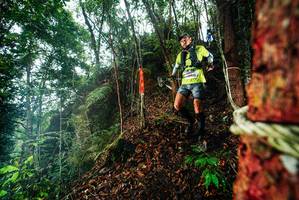 BIB: 
                            <button type="button" onclick="openModal(26197281)" class="btn btn-primary btn-sm float-right btn-popup" data-toggle="modal" data-target=".modal-high-quality">
                        <i class="fas fa-shopping-cart"></i> Add to Cart
                    </button>
                                            <button type="button" onclick="isThisMe(26197281, true)" class="btn btn-success btn-sm float-right btn-popup btn-isme hidden" data-toggle="tooltip" data-placement="bottom" title="นี่คือรูปของคุณใช่ไหม คลิกที่นี่เพื่อเอาเข้าอัลบั้ม">
                        <i class="fas fa-plus"></i> Add to album
                    </button>
                    <button type="button" onclick="isThisMe(26197281, false)" class="btn btn-warning btn-sm float-right btn-popup btn-isnotme hidden">
                        <i class="fas fa-ban"></i> Remove from album
                    </button>