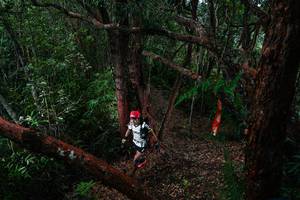 BIB: 
                            <button type="button" onclick="openModal(26196982)" class="btn btn-primary btn-sm float-right btn-popup" data-toggle="modal" data-target=".modal-high-quality">
                        <i class="fas fa-shopping-cart"></i> Add to Cart
                    </button>
                                            <button type="button" onclick="isThisMe(26196982, true)" class="btn btn-success btn-sm float-right btn-popup btn-isme hidden" data-toggle="tooltip" data-placement="bottom" title="นี่คือรูปของคุณใช่ไหม คลิกที่นี่เพื่อเอาเข้าอัลบั้ม">
                        <i class="fas fa-plus"></i> Add to album
                    </button>
                    <button type="button" onclick="isThisMe(26196982, false)" class="btn btn-warning btn-sm float-right btn-popup btn-isnotme hidden">
                        <i class="fas fa-ban"></i> Remove from album
                    </button>