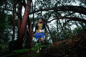 BIB: 
                            <button type="button" onclick="openModal(26198688)" class="btn btn-primary btn-sm float-right btn-popup" data-toggle="modal" data-target=".modal-high-quality">
                        <i class="fas fa-shopping-cart"></i> Add to Cart
                    </button>
                                            <button type="button" onclick="isThisMe(26198688, true)" class="btn btn-success btn-sm float-right btn-popup btn-isme hidden" data-toggle="tooltip" data-placement="bottom" title="นี่คือรูปของคุณใช่ไหม คลิกที่นี่เพื่อเอาเข้าอัลบั้ม">
                        <i class="fas fa-plus"></i> Add to album
                    </button>
                    <button type="button" onclick="isThisMe(26198688, false)" class="btn btn-warning btn-sm float-right btn-popup btn-isnotme hidden">
                        <i class="fas fa-ban"></i> Remove from album
                    </button>