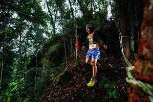 BIB: 
                            <button type="button" onclick="openModal(26197728)" class="btn btn-primary btn-sm float-right btn-popup" data-toggle="modal" data-target=".modal-high-quality">
                        <i class="fas fa-shopping-cart"></i> Add to Cart
                    </button>
                                            <button type="button" onclick="isThisMe(26197728, true)" class="btn btn-success btn-sm float-right btn-popup btn-isme hidden" data-toggle="tooltip" data-placement="bottom" title="นี่คือรูปของคุณใช่ไหม คลิกที่นี่เพื่อเอาเข้าอัลบั้ม">
                        <i class="fas fa-plus"></i> Add to album
                    </button>
                    <button type="button" onclick="isThisMe(26197728, false)" class="btn btn-warning btn-sm float-right btn-popup btn-isnotme hidden">
                        <i class="fas fa-ban"></i> Remove from album
                    </button>