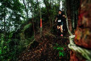 BIB: 
                            <button type="button" onclick="openModal(26197451)" class="btn btn-primary btn-sm float-right btn-popup" data-toggle="modal" data-target=".modal-high-quality">
                        <i class="fas fa-shopping-cart"></i> Add to Cart
                    </button>
                                            <button type="button" onclick="isThisMe(26197451, true)" class="btn btn-success btn-sm float-right btn-popup btn-isme hidden" data-toggle="tooltip" data-placement="bottom" title="นี่คือรูปของคุณใช่ไหม คลิกที่นี่เพื่อเอาเข้าอัลบั้ม">
                        <i class="fas fa-plus"></i> Add to album
                    </button>
                    <button type="button" onclick="isThisMe(26197451, false)" class="btn btn-warning btn-sm float-right btn-popup btn-isnotme hidden">
                        <i class="fas fa-ban"></i> Remove from album
                    </button>