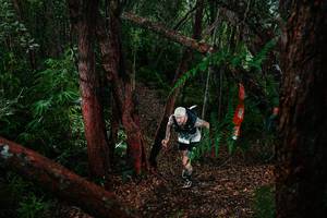 BIB: 
                            <button type="button" onclick="openModal(26196984)" class="btn btn-primary btn-sm float-right btn-popup" data-toggle="modal" data-target=".modal-high-quality">
                        <i class="fas fa-shopping-cart"></i> Add to Cart
                    </button>
                                            <button type="button" onclick="isThisMe(26196984, true)" class="btn btn-success btn-sm float-right btn-popup btn-isme hidden" data-toggle="tooltip" data-placement="bottom" title="นี่คือรูปของคุณใช่ไหม คลิกที่นี่เพื่อเอาเข้าอัลบั้ม">
                        <i class="fas fa-plus"></i> Add to album
                    </button>
                    <button type="button" onclick="isThisMe(26196984, false)" class="btn btn-warning btn-sm float-right btn-popup btn-isnotme hidden">
                        <i class="fas fa-ban"></i> Remove from album
                    </button>