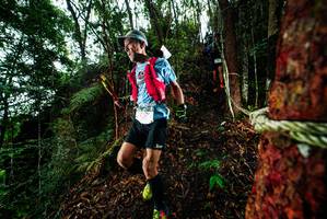 BIB: 
                            <button type="button" onclick="openModal(26197365)" class="btn btn-primary btn-sm float-right btn-popup" data-toggle="modal" data-target=".modal-high-quality">
                        <i class="fas fa-shopping-cart"></i> Add to Cart
                    </button>
                                            <button type="button" onclick="isThisMe(26197365, true)" class="btn btn-success btn-sm float-right btn-popup btn-isme hidden" data-toggle="tooltip" data-placement="bottom" title="นี่คือรูปของคุณใช่ไหม คลิกที่นี่เพื่อเอาเข้าอัลบั้ม">
                        <i class="fas fa-plus"></i> Add to album
                    </button>
                    <button type="button" onclick="isThisMe(26197365, false)" class="btn btn-warning btn-sm float-right btn-popup btn-isnotme hidden">
                        <i class="fas fa-ban"></i> Remove from album
                    </button>