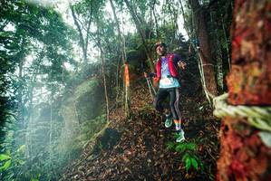 BIB: 
                            <button type="button" onclick="openModal(26197257)" class="btn btn-primary btn-sm float-right btn-popup" data-toggle="modal" data-target=".modal-high-quality">
                        <i class="fas fa-shopping-cart"></i> Add to Cart
                    </button>
                                            <button type="button" onclick="isThisMe(26197257, true)" class="btn btn-success btn-sm float-right btn-popup btn-isme hidden" data-toggle="tooltip" data-placement="bottom" title="นี่คือรูปของคุณใช่ไหม คลิกที่นี่เพื่อเอาเข้าอัลบั้ม">
                        <i class="fas fa-plus"></i> Add to album
                    </button>
                    <button type="button" onclick="isThisMe(26197257, false)" class="btn btn-warning btn-sm float-right btn-popup btn-isnotme hidden">
                        <i class="fas fa-ban"></i> Remove from album
                    </button>