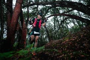 BIB: 
                            <button type="button" onclick="openModal(26198097)" class="btn btn-primary btn-sm float-right btn-popup" data-toggle="modal" data-target=".modal-high-quality">
                        <i class="fas fa-shopping-cart"></i> Add to Cart
                    </button>
                                            <button type="button" onclick="isThisMe(26198097, true)" class="btn btn-success btn-sm float-right btn-popup btn-isme hidden" data-toggle="tooltip" data-placement="bottom" title="นี่คือรูปของคุณใช่ไหม คลิกที่นี่เพื่อเอาเข้าอัลบั้ม">
                        <i class="fas fa-plus"></i> Add to album
                    </button>
                    <button type="button" onclick="isThisMe(26198097, false)" class="btn btn-warning btn-sm float-right btn-popup btn-isnotme hidden">
                        <i class="fas fa-ban"></i> Remove from album
                    </button>