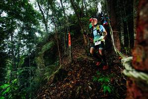 BIB: 
                            <button type="button" onclick="openModal(26197609)" class="btn btn-primary btn-sm float-right btn-popup" data-toggle="modal" data-target=".modal-high-quality">
                        <i class="fas fa-shopping-cart"></i> Add to Cart
                    </button>
                                            <button type="button" onclick="isThisMe(26197609, true)" class="btn btn-success btn-sm float-right btn-popup btn-isme hidden" data-toggle="tooltip" data-placement="bottom" title="นี่คือรูปของคุณใช่ไหม คลิกที่นี่เพื่อเอาเข้าอัลบั้ม">
                        <i class="fas fa-plus"></i> Add to album
                    </button>
                    <button type="button" onclick="isThisMe(26197609, false)" class="btn btn-warning btn-sm float-right btn-popup btn-isnotme hidden">
                        <i class="fas fa-ban"></i> Remove from album
                    </button>