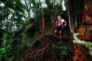 BIB: 
                            <button type="button" onclick="openModal(26197486)" class="btn btn-primary btn-sm float-right btn-popup" data-toggle="modal" data-target=".modal-high-quality">
                        <i class="fas fa-shopping-cart"></i> Add to Cart
                    </button>
                                            <button type="button" onclick="isThisMe(26197486, true)" class="btn btn-success btn-sm float-right btn-popup btn-isme hidden" data-toggle="tooltip" data-placement="bottom" title="นี่คือรูปของคุณใช่ไหม คลิกที่นี่เพื่อเอาเข้าอัลบั้ม">
                        <i class="fas fa-plus"></i> Add to album
                    </button>
                    <button type="button" onclick="isThisMe(26197486, false)" class="btn btn-warning btn-sm float-right btn-popup btn-isnotme hidden">
                        <i class="fas fa-ban"></i> Remove from album
                    </button>