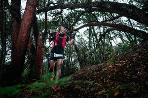 BIB: 
                            <button type="button" onclick="openModal(26198091)" class="btn btn-primary btn-sm float-right btn-popup" data-toggle="modal" data-target=".modal-high-quality">
                        <i class="fas fa-shopping-cart"></i> Add to Cart
                    </button>
                                            <button type="button" onclick="isThisMe(26198091, true)" class="btn btn-success btn-sm float-right btn-popup btn-isme hidden" data-toggle="tooltip" data-placement="bottom" title="นี่คือรูปของคุณใช่ไหม คลิกที่นี่เพื่อเอาเข้าอัลบั้ม">
                        <i class="fas fa-plus"></i> Add to album
                    </button>
                    <button type="button" onclick="isThisMe(26198091, false)" class="btn btn-warning btn-sm float-right btn-popup btn-isnotme hidden">
                        <i class="fas fa-ban"></i> Remove from album
                    </button>