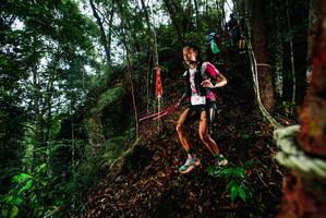 BIB: 
                            <button type="button" onclick="openModal(26197561)" class="btn btn-primary btn-sm float-right btn-popup" data-toggle="modal" data-target=".modal-high-quality">
                        <i class="fas fa-shopping-cart"></i> Add to Cart
                    </button>
                                            <button type="button" onclick="isThisMe(26197561, true)" class="btn btn-success btn-sm float-right btn-popup btn-isme hidden" data-toggle="tooltip" data-placement="bottom" title="นี่คือรูปของคุณใช่ไหม คลิกที่นี่เพื่อเอาเข้าอัลบั้ม">
                        <i class="fas fa-plus"></i> Add to album
                    </button>
                    <button type="button" onclick="isThisMe(26197561, false)" class="btn btn-warning btn-sm float-right btn-popup btn-isnotme hidden">
                        <i class="fas fa-ban"></i> Remove from album
                    </button>