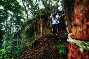 BIB: 
                            <button type="button" onclick="openModal(26197300)" class="btn btn-primary btn-sm float-right btn-popup" data-toggle="modal" data-target=".modal-high-quality">
                        <i class="fas fa-shopping-cart"></i> Add to Cart
                    </button>
                                            <button type="button" onclick="isThisMe(26197300, true)" class="btn btn-success btn-sm float-right btn-popup btn-isme hidden" data-toggle="tooltip" data-placement="bottom" title="นี่คือรูปของคุณใช่ไหม คลิกที่นี่เพื่อเอาเข้าอัลบั้ม">
                        <i class="fas fa-plus"></i> Add to album
                    </button>
                    <button type="button" onclick="isThisMe(26197300, false)" class="btn btn-warning btn-sm float-right btn-popup btn-isnotme hidden">
                        <i class="fas fa-ban"></i> Remove from album
                    </button>