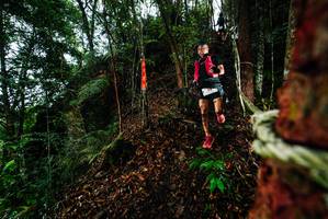 BIB: 
                            <button type="button" onclick="openModal(26197441)" class="btn btn-primary btn-sm float-right btn-popup" data-toggle="modal" data-target=".modal-high-quality">
                        <i class="fas fa-shopping-cart"></i> Add to Cart
                    </button>
                                            <button type="button" onclick="isThisMe(26197441, true)" class="btn btn-success btn-sm float-right btn-popup btn-isme hidden" data-toggle="tooltip" data-placement="bottom" title="นี่คือรูปของคุณใช่ไหม คลิกที่นี่เพื่อเอาเข้าอัลบั้ม">
                        <i class="fas fa-plus"></i> Add to album
                    </button>
                    <button type="button" onclick="isThisMe(26197441, false)" class="btn btn-warning btn-sm float-right btn-popup btn-isnotme hidden">
                        <i class="fas fa-ban"></i> Remove from album
                    </button>