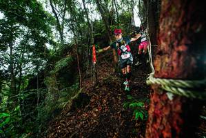 BIB: 
                            <button type="button" onclick="openModal(26197309)" class="btn btn-primary btn-sm float-right btn-popup" data-toggle="modal" data-target=".modal-high-quality">
                        <i class="fas fa-shopping-cart"></i> Add to Cart
                    </button>
                                            <button type="button" onclick="isThisMe(26197309, true)" class="btn btn-success btn-sm float-right btn-popup btn-isme hidden" data-toggle="tooltip" data-placement="bottom" title="นี่คือรูปของคุณใช่ไหม คลิกที่นี่เพื่อเอาเข้าอัลบั้ม">
                        <i class="fas fa-plus"></i> Add to album
                    </button>
                    <button type="button" onclick="isThisMe(26197309, false)" class="btn btn-warning btn-sm float-right btn-popup btn-isnotme hidden">
                        <i class="fas fa-ban"></i> Remove from album
                    </button>