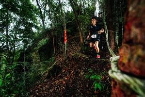 BIB: 
                            <button type="button" onclick="openModal(26197452)" class="btn btn-primary btn-sm float-right btn-popup" data-toggle="modal" data-target=".modal-high-quality">
                        <i class="fas fa-shopping-cart"></i> Add to Cart
                    </button>
                                            <button type="button" onclick="isThisMe(26197452, true)" class="btn btn-success btn-sm float-right btn-popup btn-isme hidden" data-toggle="tooltip" data-placement="bottom" title="นี่คือรูปของคุณใช่ไหม คลิกที่นี่เพื่อเอาเข้าอัลบั้ม">
                        <i class="fas fa-plus"></i> Add to album
                    </button>
                    <button type="button" onclick="isThisMe(26197452, false)" class="btn btn-warning btn-sm float-right btn-popup btn-isnotme hidden">
                        <i class="fas fa-ban"></i> Remove from album
                    </button>