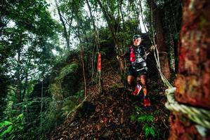 BIB: 
                            <button type="button" onclick="openModal(26197709)" class="btn btn-primary btn-sm float-right btn-popup" data-toggle="modal" data-target=".modal-high-quality">
                        <i class="fas fa-shopping-cart"></i> Add to Cart
                    </button>
                                            <button type="button" onclick="isThisMe(26197709, true)" class="btn btn-success btn-sm float-right btn-popup btn-isme hidden" data-toggle="tooltip" data-placement="bottom" title="นี่คือรูปของคุณใช่ไหม คลิกที่นี่เพื่อเอาเข้าอัลบั้ม">
                        <i class="fas fa-plus"></i> Add to album
                    </button>
                    <button type="button" onclick="isThisMe(26197709, false)" class="btn btn-warning btn-sm float-right btn-popup btn-isnotme hidden">
                        <i class="fas fa-ban"></i> Remove from album
                    </button>