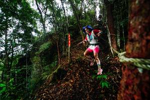 BIB: 
                            <button type="button" onclick="openModal(26197327)" class="btn btn-primary btn-sm float-right btn-popup" data-toggle="modal" data-target=".modal-high-quality">
                        <i class="fas fa-shopping-cart"></i> Add to Cart
                    </button>
                                            <button type="button" onclick="isThisMe(26197327, true)" class="btn btn-success btn-sm float-right btn-popup btn-isme hidden" data-toggle="tooltip" data-placement="bottom" title="นี่คือรูปของคุณใช่ไหม คลิกที่นี่เพื่อเอาเข้าอัลบั้ม">
                        <i class="fas fa-plus"></i> Add to album
                    </button>
                    <button type="button" onclick="isThisMe(26197327, false)" class="btn btn-warning btn-sm float-right btn-popup btn-isnotme hidden">
                        <i class="fas fa-ban"></i> Remove from album
                    </button>