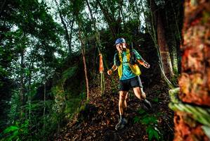 BIB: 
                            <button type="button" onclick="openModal(26197758)" class="btn btn-primary btn-sm float-right btn-popup" data-toggle="modal" data-target=".modal-high-quality">
                        <i class="fas fa-shopping-cart"></i> Add to Cart
                    </button>
                                            <button type="button" onclick="isThisMe(26197758, true)" class="btn btn-success btn-sm float-right btn-popup btn-isme hidden" data-toggle="tooltip" data-placement="bottom" title="นี่คือรูปของคุณใช่ไหม คลิกที่นี่เพื่อเอาเข้าอัลบั้ม">
                        <i class="fas fa-plus"></i> Add to album
                    </button>
                    <button type="button" onclick="isThisMe(26197758, false)" class="btn btn-warning btn-sm float-right btn-popup btn-isnotme hidden">
                        <i class="fas fa-ban"></i> Remove from album
                    </button>