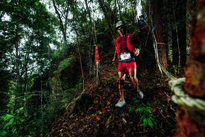 BIB: 
                            <button type="button" onclick="openModal(26197604)" class="btn btn-primary btn-sm float-right btn-popup" data-toggle="modal" data-target=".modal-high-quality">
                        <i class="fas fa-shopping-cart"></i> Add to Cart
                    </button>
                                            <button type="button" onclick="isThisMe(26197604, true)" class="btn btn-success btn-sm float-right btn-popup btn-isme hidden" data-toggle="tooltip" data-placement="bottom" title="นี่คือรูปของคุณใช่ไหม คลิกที่นี่เพื่อเอาเข้าอัลบั้ม">
                        <i class="fas fa-plus"></i> Add to album
                    </button>
                    <button type="button" onclick="isThisMe(26197604, false)" class="btn btn-warning btn-sm float-right btn-popup btn-isnotme hidden">
                        <i class="fas fa-ban"></i> Remove from album
                    </button>