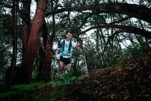 BIB: 
                            <button type="button" onclick="openModal(26198572)" class="btn btn-primary btn-sm float-right btn-popup" data-toggle="modal" data-target=".modal-high-quality">
                        <i class="fas fa-shopping-cart"></i> Add to Cart
                    </button>
                                            <button type="button" onclick="isThisMe(26198572, true)" class="btn btn-success btn-sm float-right btn-popup btn-isme hidden" data-toggle="tooltip" data-placement="bottom" title="นี่คือรูปของคุณใช่ไหม คลิกที่นี่เพื่อเอาเข้าอัลบั้ม">
                        <i class="fas fa-plus"></i> Add to album
                    </button>
                    <button type="button" onclick="isThisMe(26198572, false)" class="btn btn-warning btn-sm float-right btn-popup btn-isnotme hidden">
                        <i class="fas fa-ban"></i> Remove from album
                    </button>