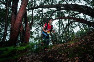 BIB: 
                            <button type="button" onclick="openModal(26198429)" class="btn btn-primary btn-sm float-right btn-popup" data-toggle="modal" data-target=".modal-high-quality">
                        <i class="fas fa-shopping-cart"></i> Add to Cart
                    </button>
                                            <button type="button" onclick="isThisMe(26198429, true)" class="btn btn-success btn-sm float-right btn-popup btn-isme hidden" data-toggle="tooltip" data-placement="bottom" title="นี่คือรูปของคุณใช่ไหม คลิกที่นี่เพื่อเอาเข้าอัลบั้ม">
                        <i class="fas fa-plus"></i> Add to album
                    </button>
                    <button type="button" onclick="isThisMe(26198429, false)" class="btn btn-warning btn-sm float-right btn-popup btn-isnotme hidden">
                        <i class="fas fa-ban"></i> Remove from album
                    </button>