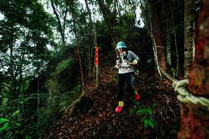 BIB: 
                            <button type="button" onclick="openModal(26197716)" class="btn btn-primary btn-sm float-right btn-popup" data-toggle="modal" data-target=".modal-high-quality">
                        <i class="fas fa-shopping-cart"></i> Add to Cart
                    </button>
                                            <button type="button" onclick="isThisMe(26197716, true)" class="btn btn-success btn-sm float-right btn-popup btn-isme hidden" data-toggle="tooltip" data-placement="bottom" title="นี่คือรูปของคุณใช่ไหม คลิกที่นี่เพื่อเอาเข้าอัลบั้ม">
                        <i class="fas fa-plus"></i> Add to album
                    </button>
                    <button type="button" onclick="isThisMe(26197716, false)" class="btn btn-warning btn-sm float-right btn-popup btn-isnotme hidden">
                        <i class="fas fa-ban"></i> Remove from album
                    </button>