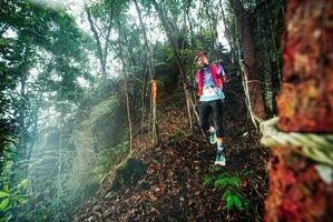 BIB: 
                            <button type="button" onclick="openModal(26197255)" class="btn btn-primary btn-sm float-right btn-popup" data-toggle="modal" data-target=".modal-high-quality">
                        <i class="fas fa-shopping-cart"></i> Add to Cart
                    </button>
                                            <button type="button" onclick="isThisMe(26197255, true)" class="btn btn-success btn-sm float-right btn-popup btn-isme hidden" data-toggle="tooltip" data-placement="bottom" title="นี่คือรูปของคุณใช่ไหม คลิกที่นี่เพื่อเอาเข้าอัลบั้ม">
                        <i class="fas fa-plus"></i> Add to album
                    </button>
                    <button type="button" onclick="isThisMe(26197255, false)" class="btn btn-warning btn-sm float-right btn-popup btn-isnotme hidden">
                        <i class="fas fa-ban"></i> Remove from album
                    </button>