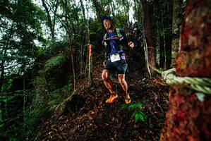 BIB: 
                            <button type="button" onclick="openModal(26197371)" class="btn btn-primary btn-sm float-right btn-popup" data-toggle="modal" data-target=".modal-high-quality">
                        <i class="fas fa-shopping-cart"></i> Add to Cart
                    </button>
                                            <button type="button" onclick="isThisMe(26197371, true)" class="btn btn-success btn-sm float-right btn-popup btn-isme hidden" data-toggle="tooltip" data-placement="bottom" title="นี่คือรูปของคุณใช่ไหม คลิกที่นี่เพื่อเอาเข้าอัลบั้ม">
                        <i class="fas fa-plus"></i> Add to album
                    </button>
                    <button type="button" onclick="isThisMe(26197371, false)" class="btn btn-warning btn-sm float-right btn-popup btn-isnotme hidden">
                        <i class="fas fa-ban"></i> Remove from album
                    </button>