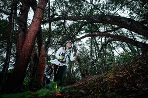 BIB: 
                            <button type="button" onclick="openModal(26198672)" class="btn btn-primary btn-sm float-right btn-popup" data-toggle="modal" data-target=".modal-high-quality">
                        <i class="fas fa-shopping-cart"></i> Add to Cart
                    </button>
                                            <button type="button" onclick="isThisMe(26198672, true)" class="btn btn-success btn-sm float-right btn-popup btn-isme hidden" data-toggle="tooltip" data-placement="bottom" title="นี่คือรูปของคุณใช่ไหม คลิกที่นี่เพื่อเอาเข้าอัลบั้ม">
                        <i class="fas fa-plus"></i> Add to album
                    </button>
                    <button type="button" onclick="isThisMe(26198672, false)" class="btn btn-warning btn-sm float-right btn-popup btn-isnotme hidden">
                        <i class="fas fa-ban"></i> Remove from album
                    </button>