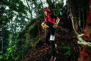 BIB: 
                            <button type="button" onclick="openModal(26197582)" class="btn btn-primary btn-sm float-right btn-popup" data-toggle="modal" data-target=".modal-high-quality">
                        <i class="fas fa-shopping-cart"></i> Add to Cart
                    </button>
                                            <button type="button" onclick="isThisMe(26197582, true)" class="btn btn-success btn-sm float-right btn-popup btn-isme hidden" data-toggle="tooltip" data-placement="bottom" title="นี่คือรูปของคุณใช่ไหม คลิกที่นี่เพื่อเอาเข้าอัลบั้ม">
                        <i class="fas fa-plus"></i> Add to album
                    </button>
                    <button type="button" onclick="isThisMe(26197582, false)" class="btn btn-warning btn-sm float-right btn-popup btn-isnotme hidden">
                        <i class="fas fa-ban"></i> Remove from album
                    </button>