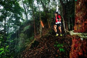 BIB: 
                            <button type="button" onclick="openModal(26197223)" class="btn btn-primary btn-sm float-right btn-popup" data-toggle="modal" data-target=".modal-high-quality">
                        <i class="fas fa-shopping-cart"></i> Add to Cart
                    </button>
                                            <button type="button" onclick="isThisMe(26197223, true)" class="btn btn-success btn-sm float-right btn-popup btn-isme hidden" data-toggle="tooltip" data-placement="bottom" title="นี่คือรูปของคุณใช่ไหม คลิกที่นี่เพื่อเอาเข้าอัลบั้ม">
                        <i class="fas fa-plus"></i> Add to album
                    </button>
                    <button type="button" onclick="isThisMe(26197223, false)" class="btn btn-warning btn-sm float-right btn-popup btn-isnotme hidden">
                        <i class="fas fa-ban"></i> Remove from album
                    </button>