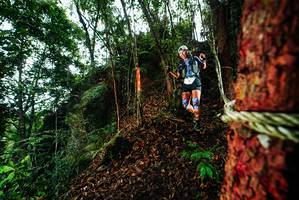 BIB: 
                            <button type="button" onclick="openModal(26197236)" class="btn btn-primary btn-sm float-right btn-popup" data-toggle="modal" data-target=".modal-high-quality">
                        <i class="fas fa-shopping-cart"></i> Add to Cart
                    </button>
                                            <button type="button" onclick="isThisMe(26197236, true)" class="btn btn-success btn-sm float-right btn-popup btn-isme hidden" data-toggle="tooltip" data-placement="bottom" title="นี่คือรูปของคุณใช่ไหม คลิกที่นี่เพื่อเอาเข้าอัลบั้ม">
                        <i class="fas fa-plus"></i> Add to album
                    </button>
                    <button type="button" onclick="isThisMe(26197236, false)" class="btn btn-warning btn-sm float-right btn-popup btn-isnotme hidden">
                        <i class="fas fa-ban"></i> Remove from album
                    </button>