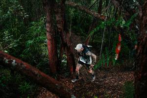 BIB: 
                            <button type="button" onclick="openModal(26196986)" class="btn btn-primary btn-sm float-right btn-popup" data-toggle="modal" data-target=".modal-high-quality">
                        <i class="fas fa-shopping-cart"></i> Add to Cart
                    </button>
                                            <button type="button" onclick="isThisMe(26196986, true)" class="btn btn-success btn-sm float-right btn-popup btn-isme hidden" data-toggle="tooltip" data-placement="bottom" title="นี่คือรูปของคุณใช่ไหม คลิกที่นี่เพื่อเอาเข้าอัลบั้ม">
                        <i class="fas fa-plus"></i> Add to album
                    </button>
                    <button type="button" onclick="isThisMe(26196986, false)" class="btn btn-warning btn-sm float-right btn-popup btn-isnotme hidden">
                        <i class="fas fa-ban"></i> Remove from album
                    </button>