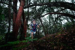 BIB: 
                            <button type="button" onclick="openModal(26198582)" class="btn btn-primary btn-sm float-right btn-popup" data-toggle="modal" data-target=".modal-high-quality">
                        <i class="fas fa-shopping-cart"></i> Add to Cart
                    </button>
                                            <button type="button" onclick="isThisMe(26198582, true)" class="btn btn-success btn-sm float-right btn-popup btn-isme hidden" data-toggle="tooltip" data-placement="bottom" title="นี่คือรูปของคุณใช่ไหม คลิกที่นี่เพื่อเอาเข้าอัลบั้ม">
                        <i class="fas fa-plus"></i> Add to album
                    </button>
                    <button type="button" onclick="isThisMe(26198582, false)" class="btn btn-warning btn-sm float-right btn-popup btn-isnotme hidden">
                        <i class="fas fa-ban"></i> Remove from album
                    </button>