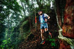 BIB: 
                            <button type="button" onclick="openModal(26197462)" class="btn btn-primary btn-sm float-right btn-popup" data-toggle="modal" data-target=".modal-high-quality">
                        <i class="fas fa-shopping-cart"></i> Add to Cart
                    </button>
                                            <button type="button" onclick="isThisMe(26197462, true)" class="btn btn-success btn-sm float-right btn-popup btn-isme hidden" data-toggle="tooltip" data-placement="bottom" title="นี่คือรูปของคุณใช่ไหม คลิกที่นี่เพื่อเอาเข้าอัลบั้ม">
                        <i class="fas fa-plus"></i> Add to album
                    </button>
                    <button type="button" onclick="isThisMe(26197462, false)" class="btn btn-warning btn-sm float-right btn-popup btn-isnotme hidden">
                        <i class="fas fa-ban"></i> Remove from album
                    </button>