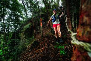 BIB: 
                            <button type="button" onclick="openModal(26197411)" class="btn btn-primary btn-sm float-right btn-popup" data-toggle="modal" data-target=".modal-high-quality">
                        <i class="fas fa-shopping-cart"></i> Add to Cart
                    </button>
                                            <button type="button" onclick="isThisMe(26197411, true)" class="btn btn-success btn-sm float-right btn-popup btn-isme hidden" data-toggle="tooltip" data-placement="bottom" title="นี่คือรูปของคุณใช่ไหม คลิกที่นี่เพื่อเอาเข้าอัลบั้ม">
                        <i class="fas fa-plus"></i> Add to album
                    </button>
                    <button type="button" onclick="isThisMe(26197411, false)" class="btn btn-warning btn-sm float-right btn-popup btn-isnotme hidden">
                        <i class="fas fa-ban"></i> Remove from album
                    </button>