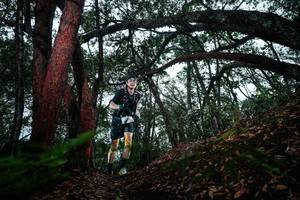 BIB: 
                            <button type="button" onclick="openModal(26198487)" class="btn btn-primary btn-sm float-right btn-popup" data-toggle="modal" data-target=".modal-high-quality">
                        <i class="fas fa-shopping-cart"></i> Add to Cart
                    </button>
                                            <button type="button" onclick="isThisMe(26198487, true)" class="btn btn-success btn-sm float-right btn-popup btn-isme hidden" data-toggle="tooltip" data-placement="bottom" title="นี่คือรูปของคุณใช่ไหม คลิกที่นี่เพื่อเอาเข้าอัลบั้ม">
                        <i class="fas fa-plus"></i> Add to album
                    </button>
                    <button type="button" onclick="isThisMe(26198487, false)" class="btn btn-warning btn-sm float-right btn-popup btn-isnotme hidden">
                        <i class="fas fa-ban"></i> Remove from album
                    </button>