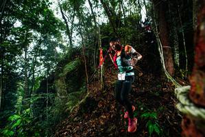 BIB: 
                            <button type="button" onclick="openModal(26197671)" class="btn btn-primary btn-sm float-right btn-popup" data-toggle="modal" data-target=".modal-high-quality">
                        <i class="fas fa-shopping-cart"></i> Add to Cart
                    </button>
                                            <button type="button" onclick="isThisMe(26197671, true)" class="btn btn-success btn-sm float-right btn-popup btn-isme hidden" data-toggle="tooltip" data-placement="bottom" title="นี่คือรูปของคุณใช่ไหม คลิกที่นี่เพื่อเอาเข้าอัลบั้ม">
                        <i class="fas fa-plus"></i> Add to album
                    </button>
                    <button type="button" onclick="isThisMe(26197671, false)" class="btn btn-warning btn-sm float-right btn-popup btn-isnotme hidden">
                        <i class="fas fa-ban"></i> Remove from album
                    </button>