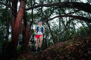 BIB: 
                            <button type="button" onclick="openModal(26197787)" class="btn btn-primary btn-sm float-right btn-popup" data-toggle="modal" data-target=".modal-high-quality">
                        <i class="fas fa-shopping-cart"></i> Add to Cart
                    </button>
                                            <button type="button" onclick="isThisMe(26197787, true)" class="btn btn-success btn-sm float-right btn-popup btn-isme hidden" data-toggle="tooltip" data-placement="bottom" title="นี่คือรูปของคุณใช่ไหม คลิกที่นี่เพื่อเอาเข้าอัลบั้ม">
                        <i class="fas fa-plus"></i> Add to album
                    </button>
                    <button type="button" onclick="isThisMe(26197787, false)" class="btn btn-warning btn-sm float-right btn-popup btn-isnotme hidden">
                        <i class="fas fa-ban"></i> Remove from album
                    </button>