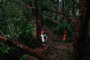 BIB: 
                            <button type="button" onclick="openModal(26196988)" class="btn btn-primary btn-sm float-right btn-popup" data-toggle="modal" data-target=".modal-high-quality">
                        <i class="fas fa-shopping-cart"></i> Add to Cart
                    </button>
                                            <button type="button" onclick="isThisMe(26196988, true)" class="btn btn-success btn-sm float-right btn-popup btn-isme hidden" data-toggle="tooltip" data-placement="bottom" title="นี่คือรูปของคุณใช่ไหม คลิกที่นี่เพื่อเอาเข้าอัลบั้ม">
                        <i class="fas fa-plus"></i> Add to album
                    </button>
                    <button type="button" onclick="isThisMe(26196988, false)" class="btn btn-warning btn-sm float-right btn-popup btn-isnotme hidden">
                        <i class="fas fa-ban"></i> Remove from album
                    </button>