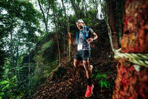 BIB: 
                            <button type="button" onclick="openModal(26197244)" class="btn btn-primary btn-sm float-right btn-popup" data-toggle="modal" data-target=".modal-high-quality">
                        <i class="fas fa-shopping-cart"></i> Add to Cart
                    </button>
                                            <button type="button" onclick="isThisMe(26197244, true)" class="btn btn-success btn-sm float-right btn-popup btn-isme hidden" data-toggle="tooltip" data-placement="bottom" title="นี่คือรูปของคุณใช่ไหม คลิกที่นี่เพื่อเอาเข้าอัลบั้ม">
                        <i class="fas fa-plus"></i> Add to album
                    </button>
                    <button type="button" onclick="isThisMe(26197244, false)" class="btn btn-warning btn-sm float-right btn-popup btn-isnotme hidden">
                        <i class="fas fa-ban"></i> Remove from album
                    </button>