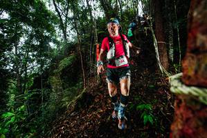 BIB: 
                            <button type="button" onclick="openModal(26197595)" class="btn btn-primary btn-sm float-right btn-popup" data-toggle="modal" data-target=".modal-high-quality">
                        <i class="fas fa-shopping-cart"></i> Add to Cart
                    </button>
                                            <button type="button" onclick="isThisMe(26197595, true)" class="btn btn-success btn-sm float-right btn-popup btn-isme hidden" data-toggle="tooltip" data-placement="bottom" title="นี่คือรูปของคุณใช่ไหม คลิกที่นี่เพื่อเอาเข้าอัลบั้ม">
                        <i class="fas fa-plus"></i> Add to album
                    </button>
                    <button type="button" onclick="isThisMe(26197595, false)" class="btn btn-warning btn-sm float-right btn-popup btn-isnotme hidden">
                        <i class="fas fa-ban"></i> Remove from album
                    </button>