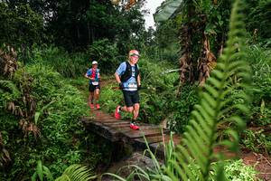 BIB: 
                            <button type="button" onclick="openModal(26207658)" class="btn btn-primary btn-sm float-right btn-popup" data-toggle="modal" data-target=".modal-high-quality">
                        <i class="fas fa-shopping-cart"></i> Add to Cart
                    </button>
                                            <button type="button" onclick="isThisMe(26207658, true)" class="btn btn-success btn-sm float-right btn-popup btn-isme hidden" data-toggle="tooltip" data-placement="bottom" title="นี่คือรูปของคุณใช่ไหม คลิกที่นี่เพื่อเอาเข้าอัลบั้ม">
                        <i class="fas fa-plus"></i> Add to album
                    </button>
                    <button type="button" onclick="isThisMe(26207658, false)" class="btn btn-warning btn-sm float-right btn-popup btn-isnotme hidden">
                        <i class="fas fa-ban"></i> Remove from album
                    </button>