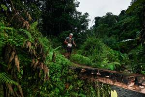 BIB: 
                            <button type="button" onclick="openModal(26208030)" class="btn btn-primary btn-sm float-right btn-popup" data-toggle="modal" data-target=".modal-high-quality">
                        <i class="fas fa-shopping-cart"></i> Add to Cart
                    </button>
                                            <button type="button" onclick="isThisMe(26208030, true)" class="btn btn-success btn-sm float-right btn-popup btn-isme hidden" data-toggle="tooltip" data-placement="bottom" title="นี่คือรูปของคุณใช่ไหม คลิกที่นี่เพื่อเอาเข้าอัลบั้ม">
                        <i class="fas fa-plus"></i> Add to album
                    </button>
                    <button type="button" onclick="isThisMe(26208030, false)" class="btn btn-warning btn-sm float-right btn-popup btn-isnotme hidden">
                        <i class="fas fa-ban"></i> Remove from album
                    </button>