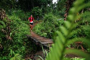 BIB: 
                            <button type="button" onclick="openModal(26207660)" class="btn btn-primary btn-sm float-right btn-popup" data-toggle="modal" data-target=".modal-high-quality">
                        <i class="fas fa-shopping-cart"></i> Add to Cart
                    </button>
                                            <button type="button" onclick="isThisMe(26207660, true)" class="btn btn-success btn-sm float-right btn-popup btn-isme hidden" data-toggle="tooltip" data-placement="bottom" title="นี่คือรูปของคุณใช่ไหม คลิกที่นี่เพื่อเอาเข้าอัลบั้ม">
                        <i class="fas fa-plus"></i> Add to album
                    </button>
                    <button type="button" onclick="isThisMe(26207660, false)" class="btn btn-warning btn-sm float-right btn-popup btn-isnotme hidden">
                        <i class="fas fa-ban"></i> Remove from album
                    </button>