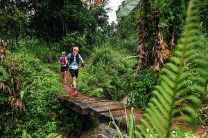 BIB: 
                            <button type="button" onclick="openModal(26207657)" class="btn btn-primary btn-sm float-right btn-popup" data-toggle="modal" data-target=".modal-high-quality">
                        <i class="fas fa-shopping-cart"></i> Add to Cart
                    </button>
                                            <button type="button" onclick="isThisMe(26207657, true)" class="btn btn-success btn-sm float-right btn-popup btn-isme hidden" data-toggle="tooltip" data-placement="bottom" title="นี่คือรูปของคุณใช่ไหม คลิกที่นี่เพื่อเอาเข้าอัลบั้ม">
                        <i class="fas fa-plus"></i> Add to album
                    </button>
                    <button type="button" onclick="isThisMe(26207657, false)" class="btn btn-warning btn-sm float-right btn-popup btn-isnotme hidden">
                        <i class="fas fa-ban"></i> Remove from album
                    </button>