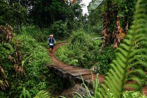 BIB: 
                            <button type="button" onclick="openModal(26207655)" class="btn btn-primary btn-sm float-right btn-popup" data-toggle="modal" data-target=".modal-high-quality">
                        <i class="fas fa-shopping-cart"></i> Add to Cart
                    </button>
                                            <button type="button" onclick="isThisMe(26207655, true)" class="btn btn-success btn-sm float-right btn-popup btn-isme hidden" data-toggle="tooltip" data-placement="bottom" title="นี่คือรูปของคุณใช่ไหม คลิกที่นี่เพื่อเอาเข้าอัลบั้ม">
                        <i class="fas fa-plus"></i> Add to album
                    </button>
                    <button type="button" onclick="isThisMe(26207655, false)" class="btn btn-warning btn-sm float-right btn-popup btn-isnotme hidden">
                        <i class="fas fa-ban"></i> Remove from album
                    </button>